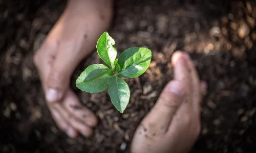 Imagem representando os serviços ambientais da Atmosfera Soluções em Gestão Integrada.